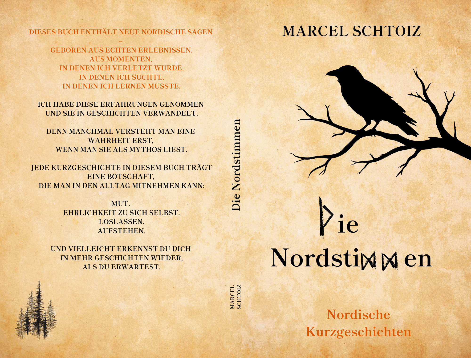 Die Nordstimmen - Nordische Kurzgeschichten